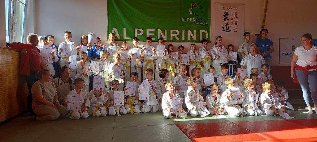 judoclub nachwuchstunier